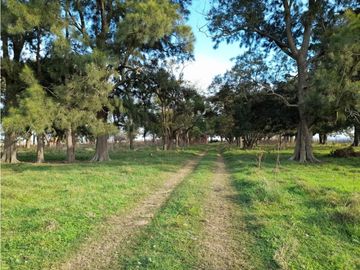 Campo en venta en Pila. 300 has. mixto