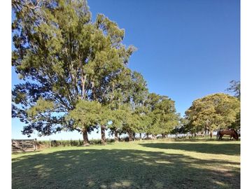 Campo en venta en Pila. 300 has. mixto