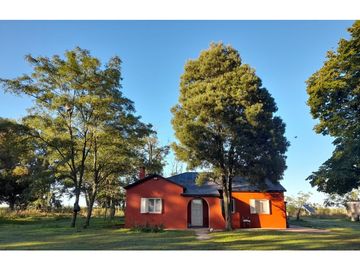 Campo en venta en Pila. 300 has. mixto
