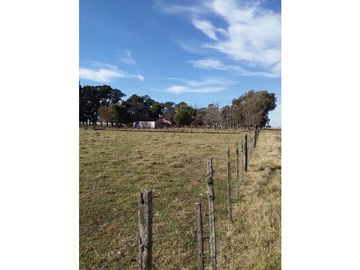 Campo en venta en Pila. 300 has. mixto