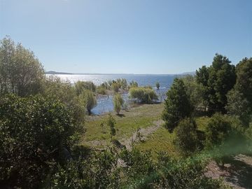 Sitio en Venta en Lago Ranco / Desembocadura Río Calcurrupe