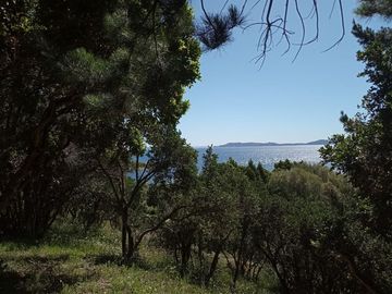 Sitio en Venta en Lago Ranco / Desembocadura Río Calcurrupe