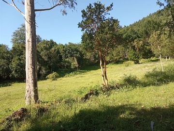 Sitio en Venta en Lago Ranco / Desembocadura Río Calcurrupe