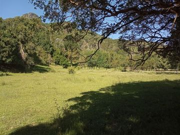 Sitio en Venta en Lago Ranco / Desembocadura Río Calcurrupe