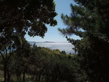 Sitio en Venta en Lago Ranco / Desembocadura Río Calcurrupe