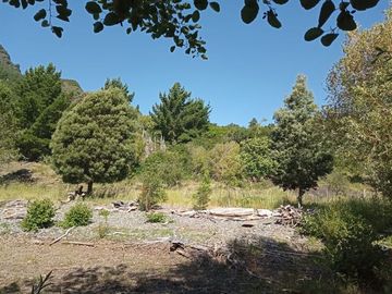 Sitio en Venta en Lago Ranco / Desembocadura Río Calcurrupe