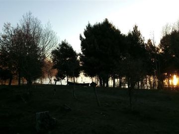 Sitio en Venta en Lago Ranco / Desembocadura Río Calcurrupe