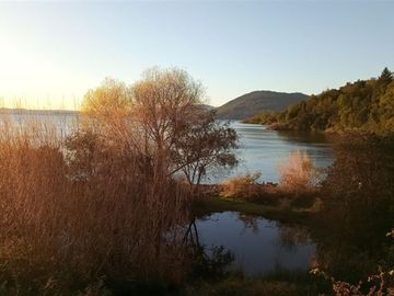 Sitio en Venta en Lago Ranco / Desembocadura Río Calcurrupe