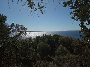 Sitio en Venta en Lago Ranco / Desembocadura Río Calcurrupe
