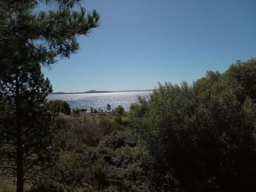 Sitio en Venta en Lago Ranco / Desembocadura Río Calcurrupe