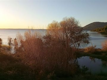 Sitio en Venta en Lago Ranco / Desembocadura Río Calcurrupe