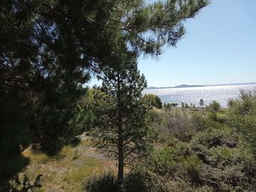 Sitio en Venta en Lago Ranco / Desembocadura Río Calcurrupe