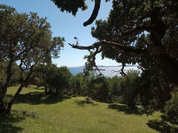 Sitio en Venta en Lago Ranco / Desembocadura Río Calcurrupe