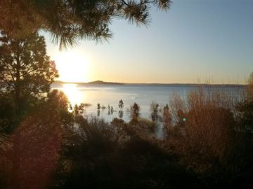 Sitio en Venta en Lago Ranco / Desembocadura Río Calcurrupe