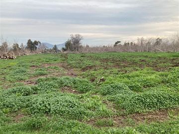 Parcela en Venta en condominio las viñas de chacabuco
