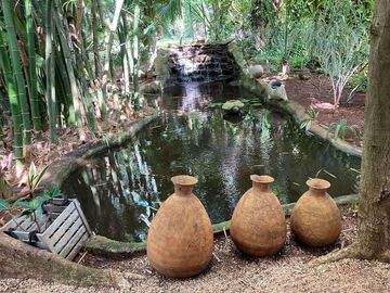 Venta - Impresionante Casa de Campo - Quinta con enorme terreno en Tesip, Yucatan
