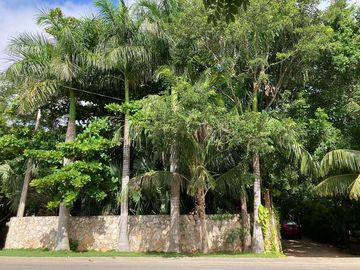Venta - Impresionante Casa de Campo - Quinta con enorme terreno en Tesip, Yucatan