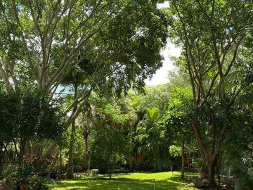 Venta - Impresionante Casa de Campo - Quinta con enorme terreno en Tesip, Yucatan