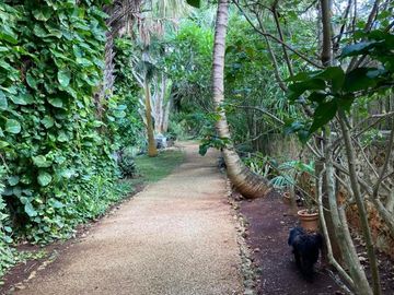 Venta - Impresionante Casa de Campo - Quinta con enorme terreno en Tesip, Yucatan
