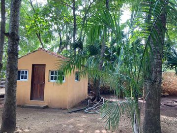 Venta - Impresionante Casa de Campo - Quinta con enorme terreno en Tesip, Yucatan