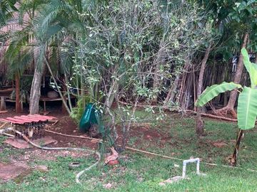 Venta - Impresionante Casa de Campo - Quinta con enorme terreno en Tesip, Yucatan