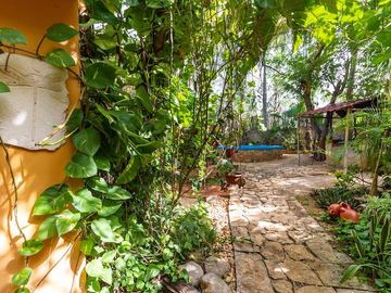Venta - Impresionante Casa de Campo - Quinta con enorme terreno en Tesip, Yucatan