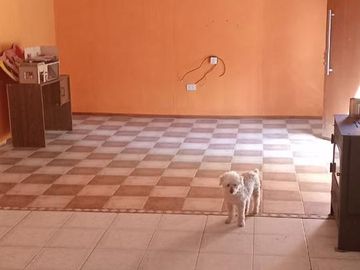 VENTA Chacra en  Allen