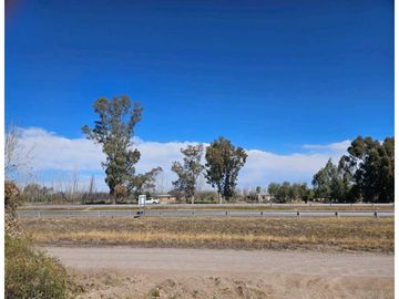 VENTA DE FINCA DE 13 HAS SOBRE RUTA 7, EN LA DORMIDA, SANTA ROSA-MZA.
