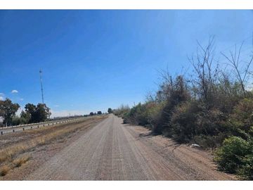 VENTA DE FINCA DE 13 HAS SOBRE RUTA 7, EN LA DORMIDA, SANTA ROSA-MZA.