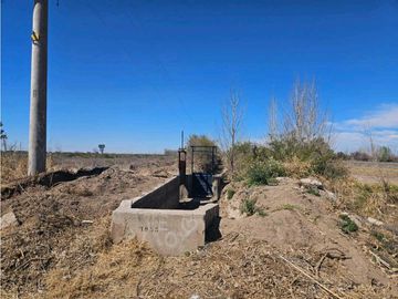 VENTA DE FINCA DE 13 HAS SOBRE RUTA 7, EN LA DORMIDA, SANTA ROSA-MZA.