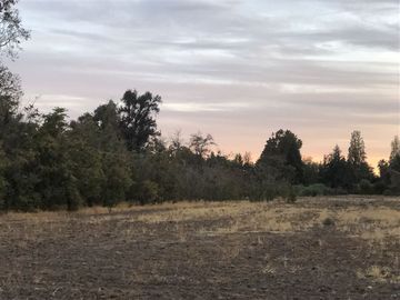 Sitio en Venta en Ruta 5 Norte/. Carretera Gnal San Martin, Lo Pinto. Chicureo