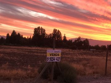Sitio en Venta en Ruta 5 Norte/. Carretera Gnal San Martin, Lo Pinto. Chicureo