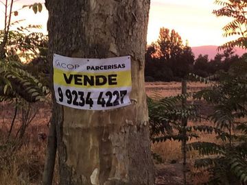 Sitio en Venta en Ruta 5 Norte/. Carretera Gnal San Martin, Lo Pinto. Chicureo