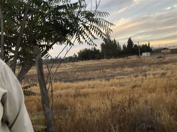 Sitio en Venta en Ruta 5 Norte/. Carretera Gnal San Martin, Lo Pinto. Chicureo