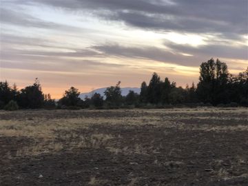 Sitio en Venta en Ruta 5 Norte/. Carretera Gnal San Martin, Lo Pinto. Chicureo