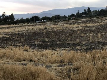 Sitio en Venta en Ruta 5 Norte/. Carretera Gnal San Martin, Lo Pinto. Chicureo