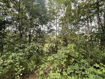 Terreno Construccion en Venta en Cerca de Carahue, ruta T-210
