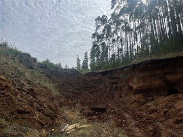 Terreno Construccion en Venta en Cerca de Carahue, ruta T-210