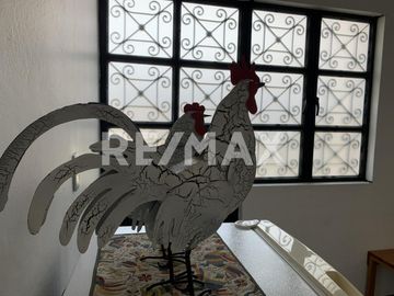 Magnifica casa en el Centro Histórico de Oaxaca de Juárez, con 3 suits independientes. - (3)