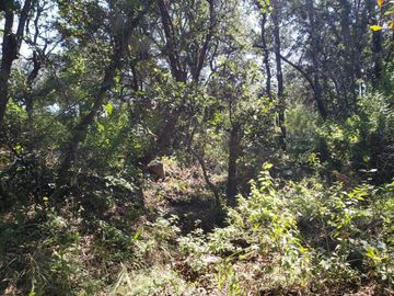 Venta de Terreno Haras del Bosque 500m2 ZONA ACRES