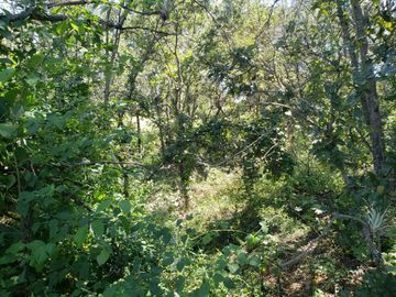 Venta de Terreno Haras del Bosque 500m2 ZONA ACRES