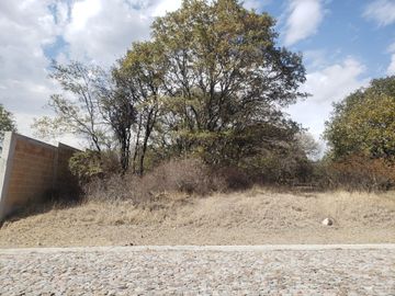 Venta de Terreno en Haras del Bosque La Joya 750m2