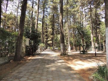 CASA EN VENTA, BOSQUE DE CUAUHYOCAN, AMOZOC, PUEBLA.