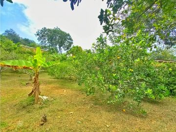 Maat vende finca en vereda Rio Dulce-Villeta 6.879m2 $1.500Millones