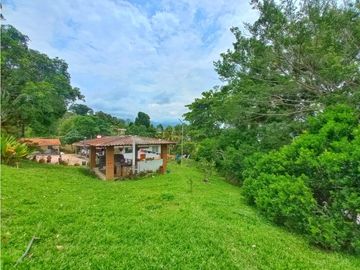 Maat vende finca en vereda Rio Dulce-Villeta 6.879m2 $1.500Millones