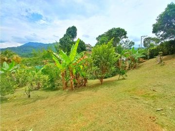 Maat vende finca en vereda Rio Dulce-Villeta 6.879m2 $1.500Millones