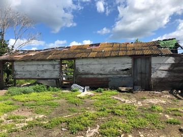 Rancho en Yucatán al sur de Dzilam de Bravo y al este de Yalsihon
