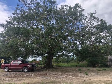 Rancho en Yucatán al sur de Dzilam de Bravo y al este de Yalsihon