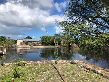 Rancho en Yucatán al sur de Dzilam de Bravo y al este de Yalsihon