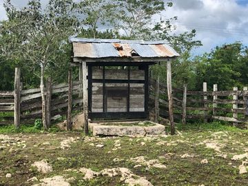 Rancho en Yucatán al sur de Dzilam de Bravo y al este de Yalsihon